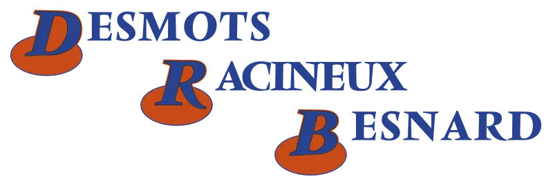 Logo de l'entreprise de maçonnerie, ravalement et travaux publics Desmots Racineux Besnard